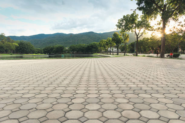 Best Permeable Paver Driveway  in St Martins, MO
